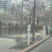 ヒメ日記 2025/03/24 15:25 投稿 白砂-しらす 熟女10000円デリヘル 川崎