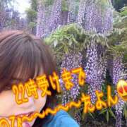 ヒメ日記 2025/05/13 15:20 投稿 白砂-しらす 熟女10000円デリヘル 川崎