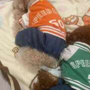 ヒメ日記 2025/06/04 00:20 投稿 白砂-しらす 熟女10000円デリヘル 川崎