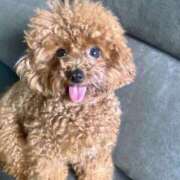 ヒメ日記 2025/06/07 14:40 投稿 白砂-しらす 熟女10000円デリヘル 川崎