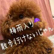 ヒメ日記 2025/06/10 18:05 投稿 白砂-しらす 熟女10000円デリヘル 川崎