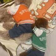 ヒメ日記 2025/06/11 19:41 投稿 白砂-しらす 熟女10000円デリヘル 川崎