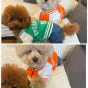 ヒメ日記 2025/06/12 05:47 投稿 白砂-しらす 熟女10000円デリヘル 川崎