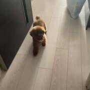 ヒメ日記 2025/06/17 04:51 投稿 白砂-しらす 熟女10000円デリヘル 川崎