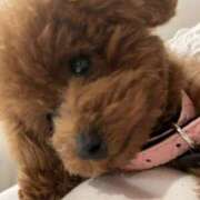 ヒメ日記 2025/10/02 14:30 投稿 白砂-しらす 熟女10000円デリヘル 川崎