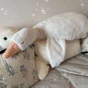 ヒメ日記 2025/06/19 10:06 投稿 ゆう 奥様はエンジェル　立川店