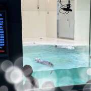 ヒメ日記 2025/10/28 11:30 投稿 ゆう 奥様はエンジェル　立川店