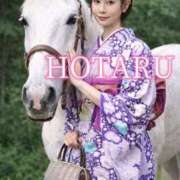 Hotaru 成人おめでとうございます? PROPORTION