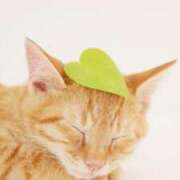 ヒメ日記 2025/09/27 00:30 投稿 春田和佳奈 五十路マダム富山店(カサブランカグループ)