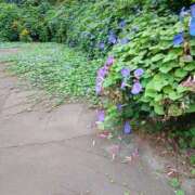 ヒメ日記 2025/10/05 18:02 投稿 春田和佳奈 五十路マダム富山店(カサブランカグループ)