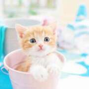 ヒメ日記 2025/10/06 18:18 投稿 春田和佳奈 五十路マダム富山店(カサブランカグループ)