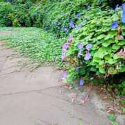 ヒメ日記 2025/10/07 10:48 投稿 春田和佳奈 五十路マダム富山店(カサブランカグループ)