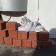 ヒメ日記 2025/10/09 07:04 投稿 春田和佳奈 五十路マダム富山店(カサブランカグループ)