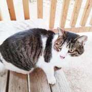 ヒメ日記 2025/11/15 11:44 投稿 春田和佳奈 五十路マダム富山店(カサブランカグループ)