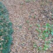 ヒメ日記 2025/11/25 16:20 投稿 春田和佳奈 五十路マダム富山店(カサブランカグループ)