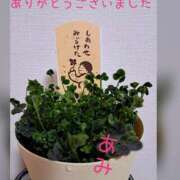 あみ 笑顔での再会 WHITE ROSE～ホワイトローズ～