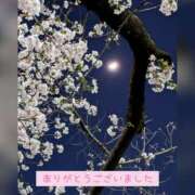 ヒメ日記 2026/03/24 19:09 投稿 あみ WHITE ROSE～ホワイトローズ～