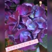 ヒメ日記 2026/06/07 19:49 投稿 あみ WHITE ROSE～ホワイトローズ～