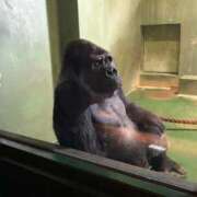 ヒメ日記 2026/01/28 10:29 投稿 まお One More奥様　八王子店