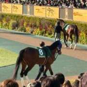 ヒメ日記 2026/02/23 20:25 投稿 まお One More奥様　八王子店