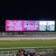 ヒメ日記 2026/10/04 23:26 投稿 まお One More奥様　八王子店