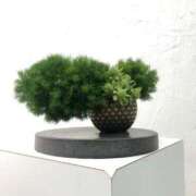 ヒメ日記 2025/08/10 11:34 投稿 みこ 横浜 風俗 妻がオンナに変わるとき