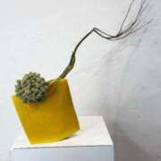 ヒメ日記 2025/09/20 20:50 投稿 みこ 横浜 風俗 妻がオンナに変わるとき