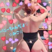 ヒメ日記 2025/11/07 22:49 投稿 みこ 横浜 風俗 妻がオンナに変わるとき