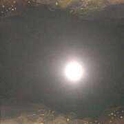 ヒメ日記 2024/12/15 19:29 投稿 尾崎 熟女待機所 厚木店