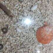 ヒメ日記 2025/01/08 14:55 投稿 尾崎 熟女待機所 厚木店