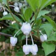 ヒメ日記 2025/09/16 10:25 投稿 尾崎 熟女待機所 厚木店