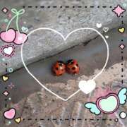 ヒメ日記 2025/10/19 10:26 投稿 尾崎 熟女待機所 厚木店