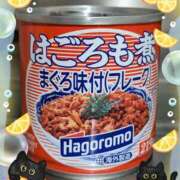 ヒメ日記 2025/11/28 10:05 投稿 尾崎 熟女待機所 厚木店