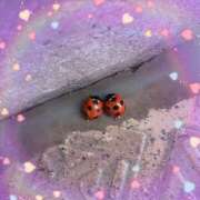 尾崎 出勤しました 熟女待機所 厚木店