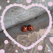 尾崎 （土）になりそうです 熟女待機所 厚木店