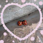 ヒメ日記 2026/03/21 14:06 投稿 尾崎 熟女待機所 厚木店