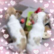 ヒメ日記 2026/04/03 20:55 投稿 くみ★ レースクィーン