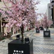 ヒメ日記 2026/04/05 20:56 投稿 くみ★ レースクィーン