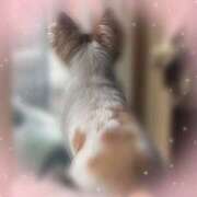 ヒメ日記 2026/04/07 21:23 投稿 くみ★ レースクィーン