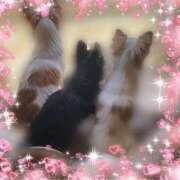 ヒメ日記 2026/04/12 20:56 投稿 くみ★ レースクィーン