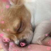 くみ★ ｺﾝﾊﾞﾝﾜ⸜(*´꒳​`*)⸝‍ レースクィーン