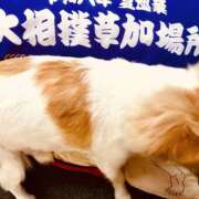 くみ★ 推しっっ！！ レースクィーン
