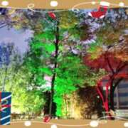 ヒメ日記 2024/12/22 07:06 投稿 まき レースクィーン