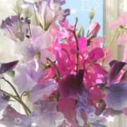 ヒメ日記 2024/12/31 13:52 投稿 まき レースクィーン