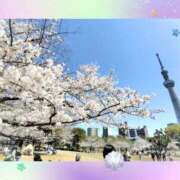 ヒメ日記 2025/04/07 15:16 投稿 まき レースクィーン