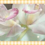 ヒメ日記 2025/05/03 09:39 投稿 まき レースクィーン