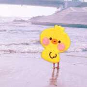 ヒメ日記 2025/05/07 09:03 投稿 まき レースクィーン