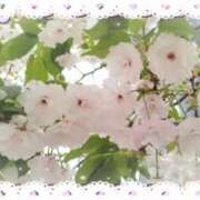 ヒメ日記 2025/05/09 09:31 投稿 まき レースクィーン