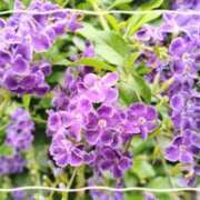 ヒメ日記 2025/06/20 14:58 投稿 まき レースクィーン