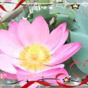 ヒメ日記 2025/08/05 06:29 投稿 まき レースクィーン